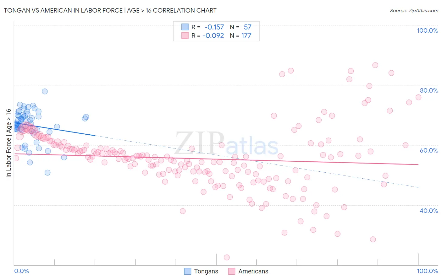Tongan vs American In Labor Force | Age > 16