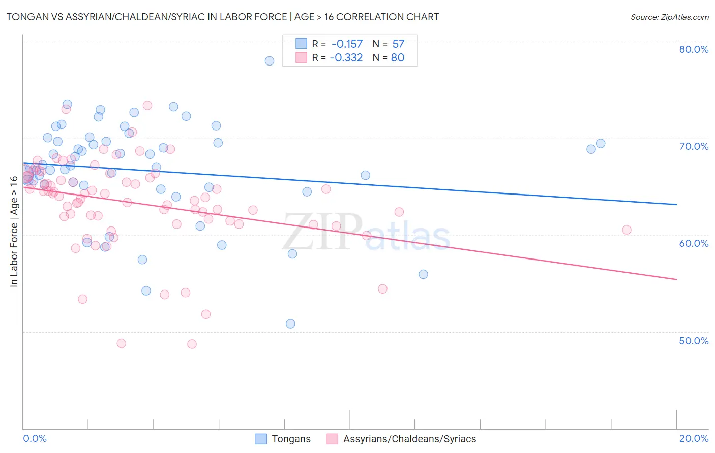 Tongan vs Assyrian/Chaldean/Syriac In Labor Force | Age > 16