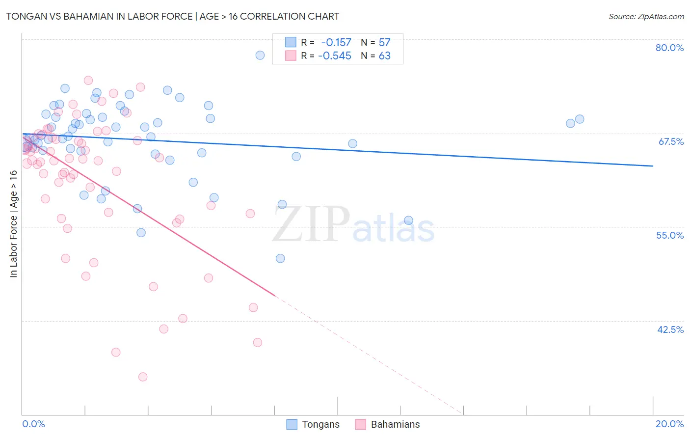 Tongan vs Bahamian In Labor Force | Age > 16