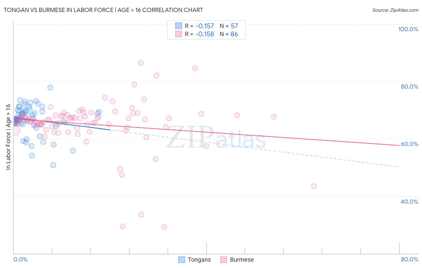 Tongan vs Burmese In Labor Force | Age > 16