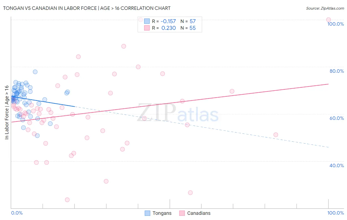 Tongan vs Canadian In Labor Force | Age > 16