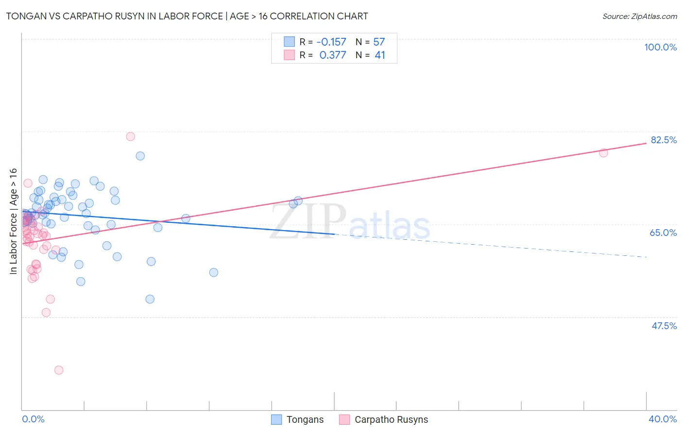 Tongan vs Carpatho Rusyn In Labor Force | Age > 16