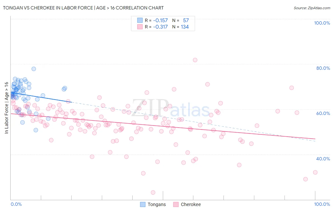 Tongan vs Cherokee In Labor Force | Age > 16