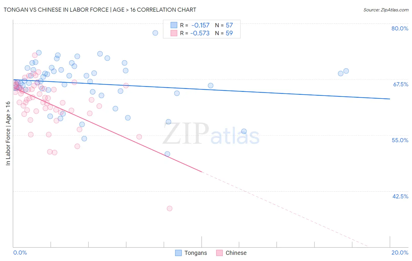 Tongan vs Chinese In Labor Force | Age > 16