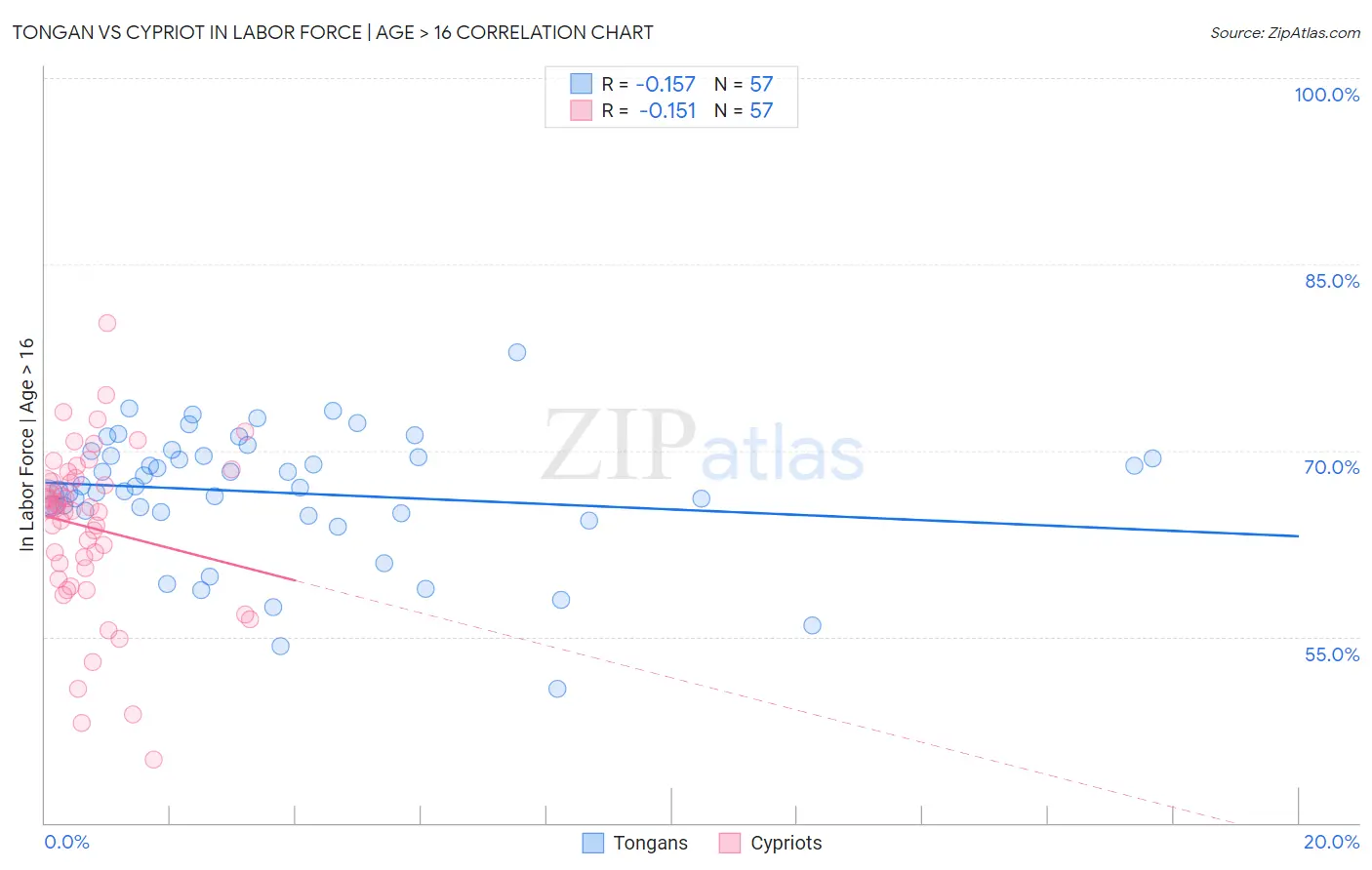 Tongan vs Cypriot In Labor Force | Age > 16