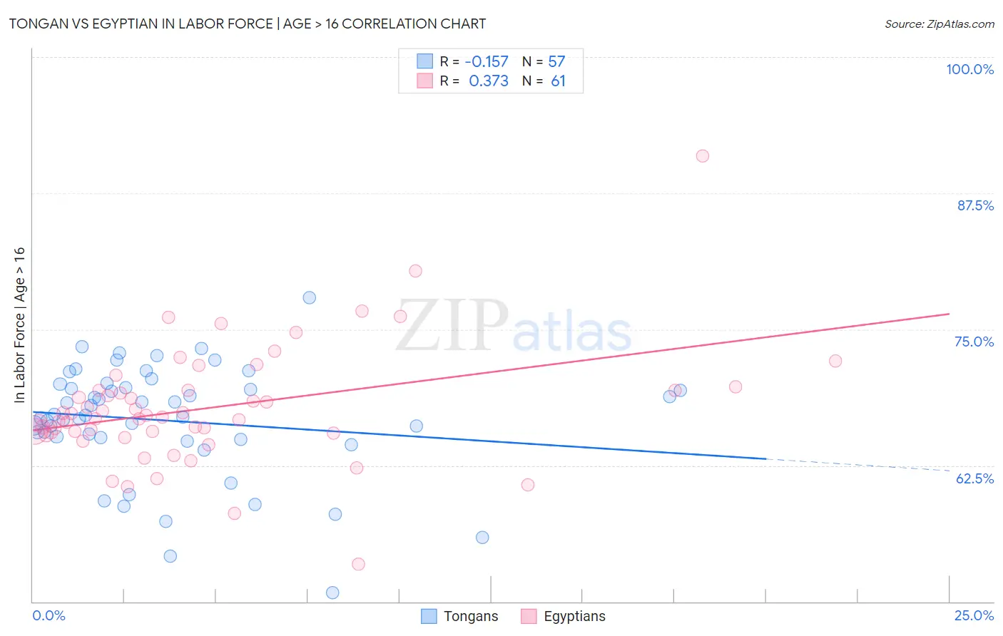 Tongan vs Egyptian In Labor Force | Age > 16