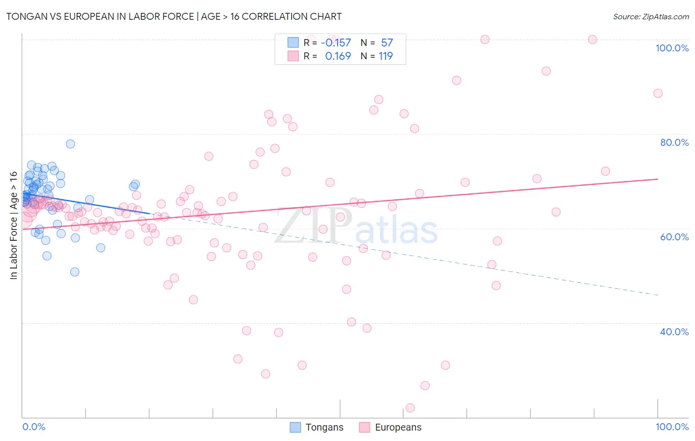 Tongan vs European In Labor Force | Age > 16