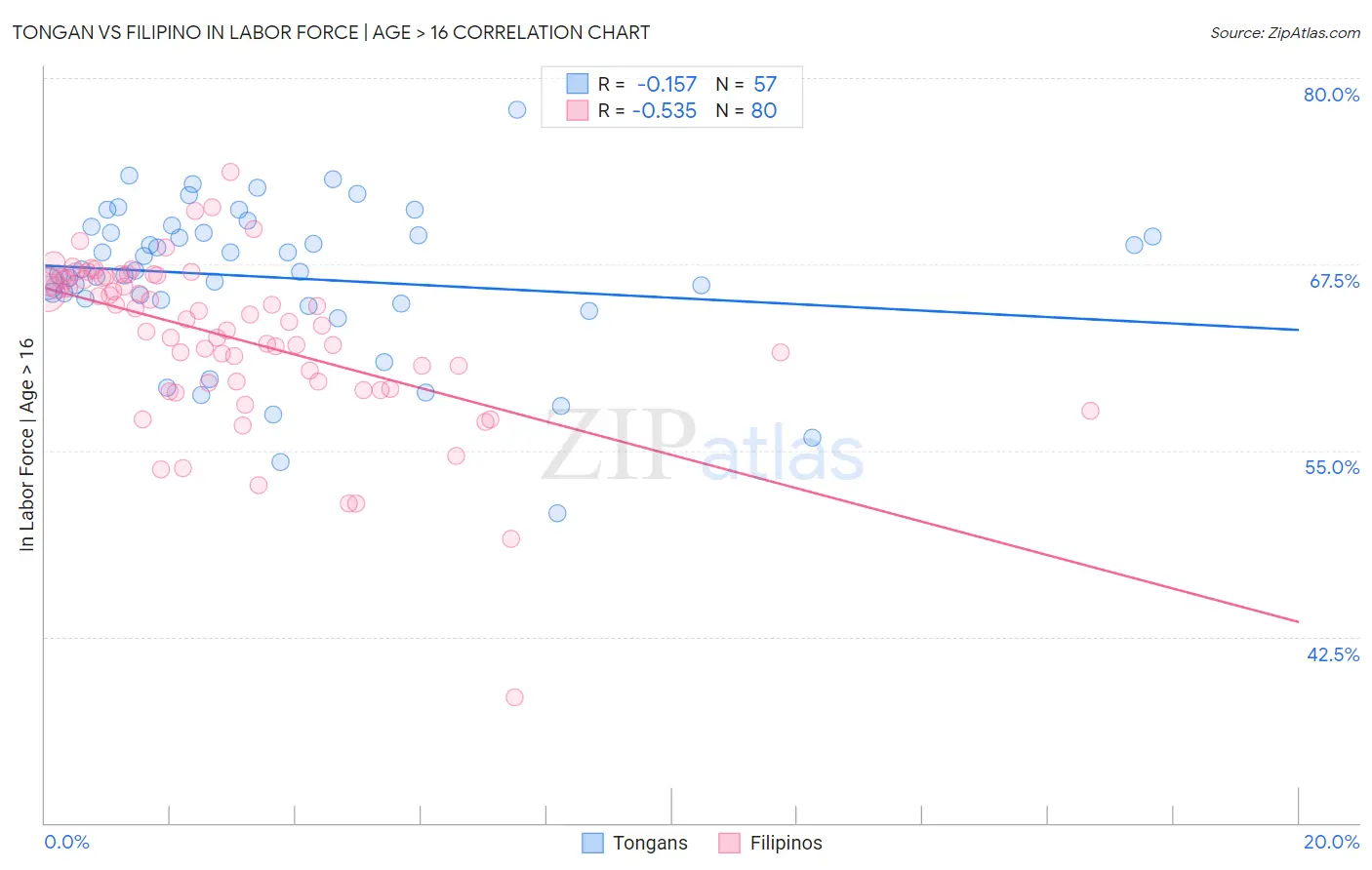 Tongan vs Filipino In Labor Force | Age > 16