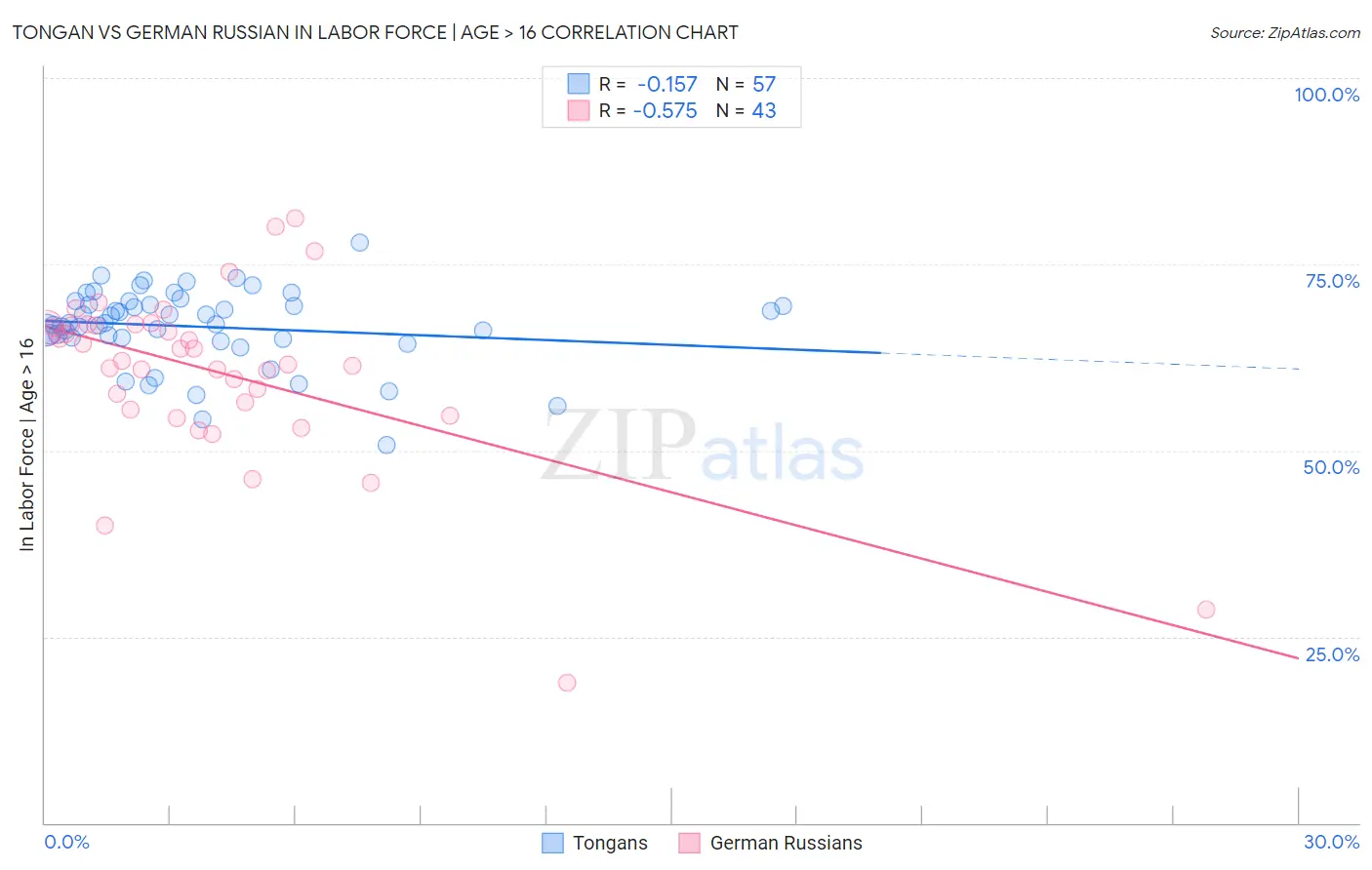 Tongan vs German Russian In Labor Force | Age > 16