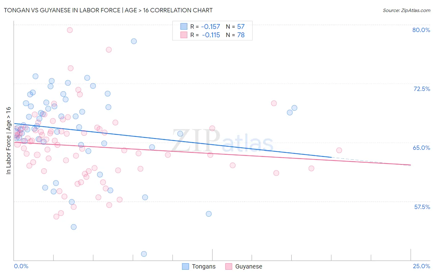 Tongan vs Guyanese In Labor Force | Age > 16