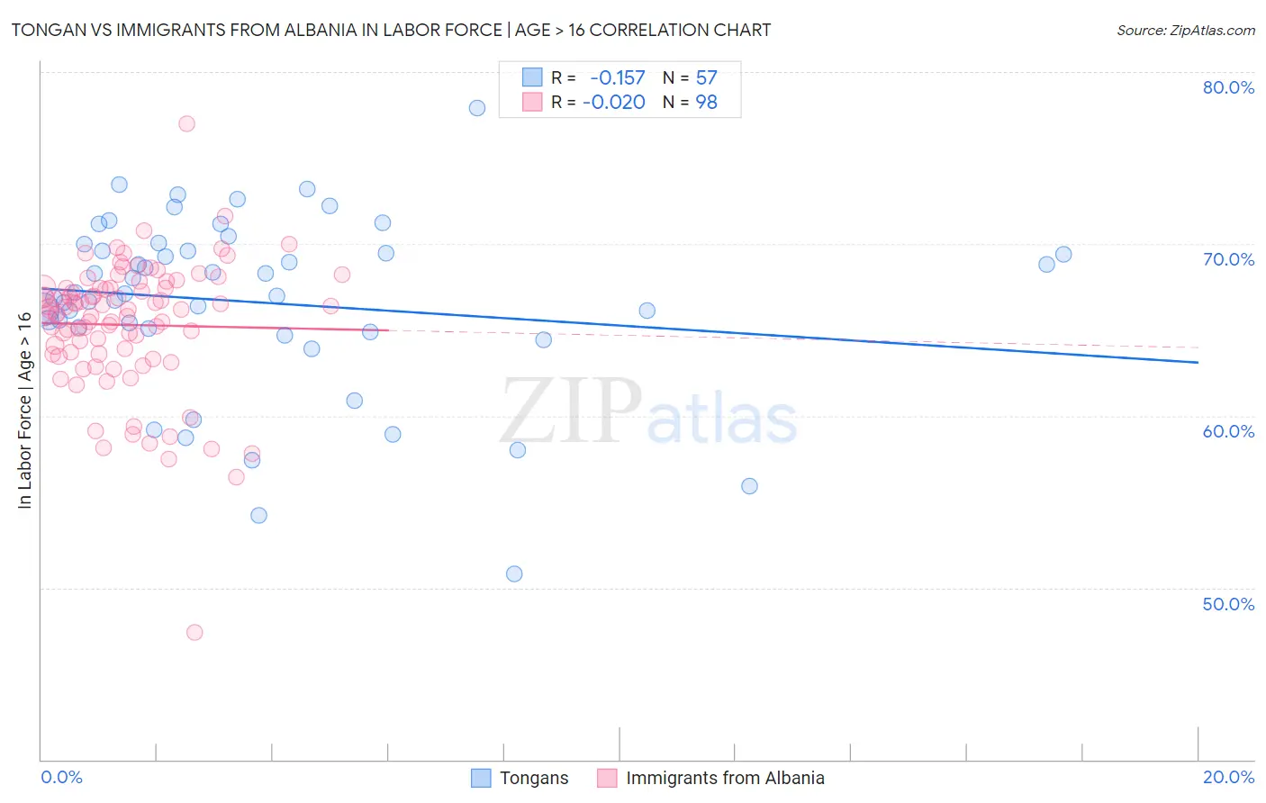 Tongan vs Immigrants from Albania In Labor Force | Age > 16