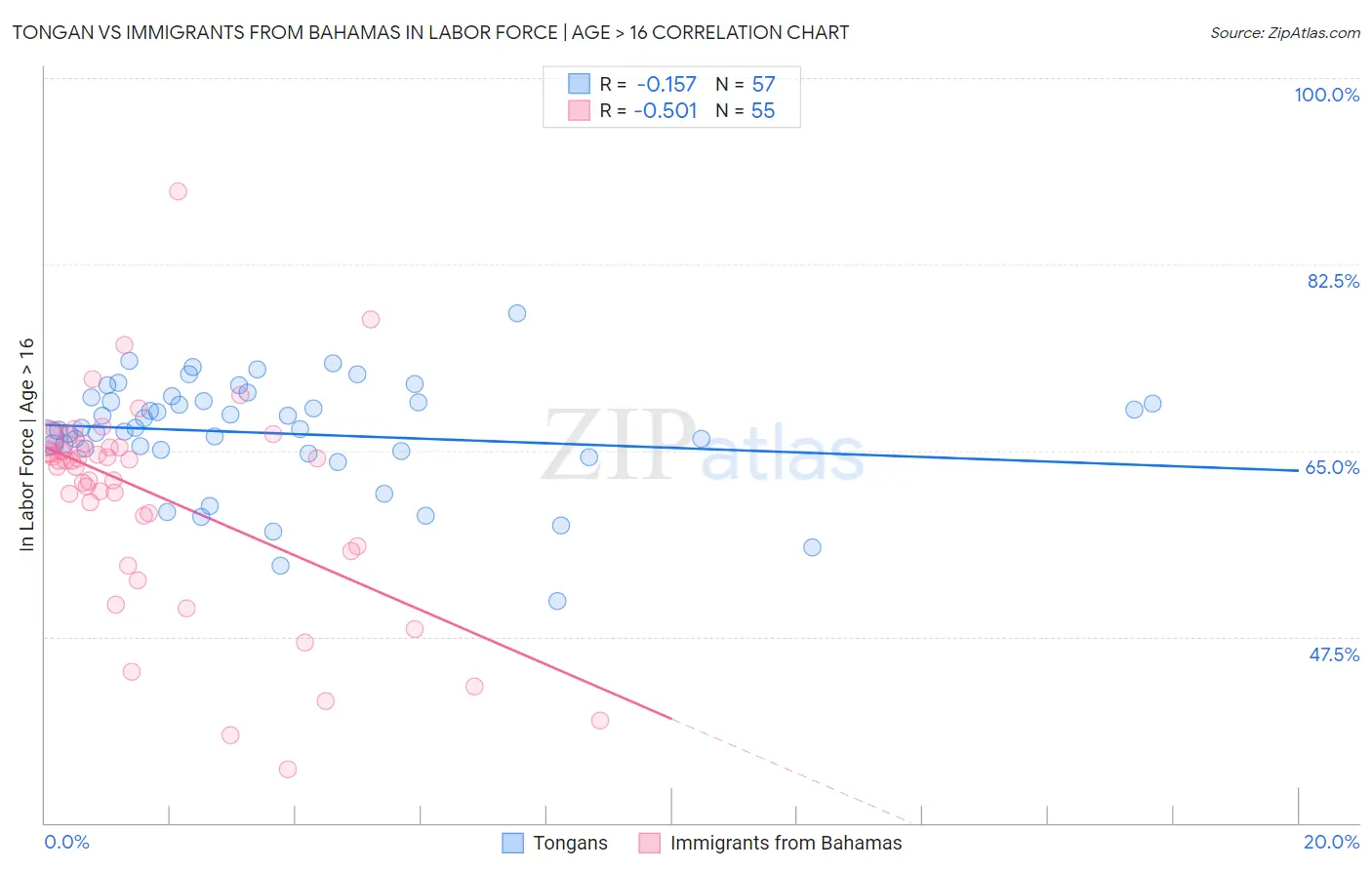 Tongan vs Immigrants from Bahamas In Labor Force | Age > 16