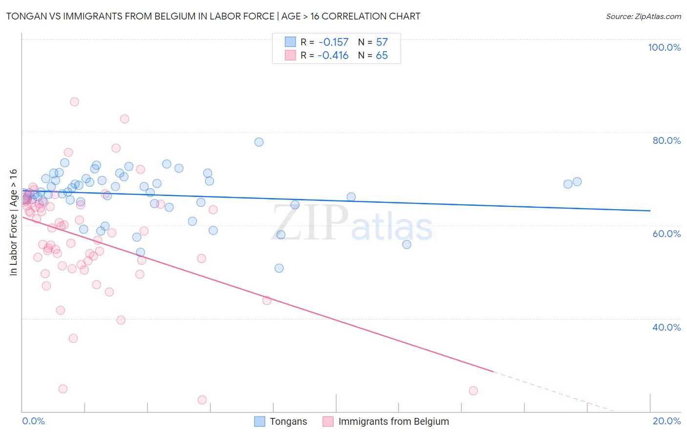 Tongan vs Immigrants from Belgium In Labor Force | Age > 16