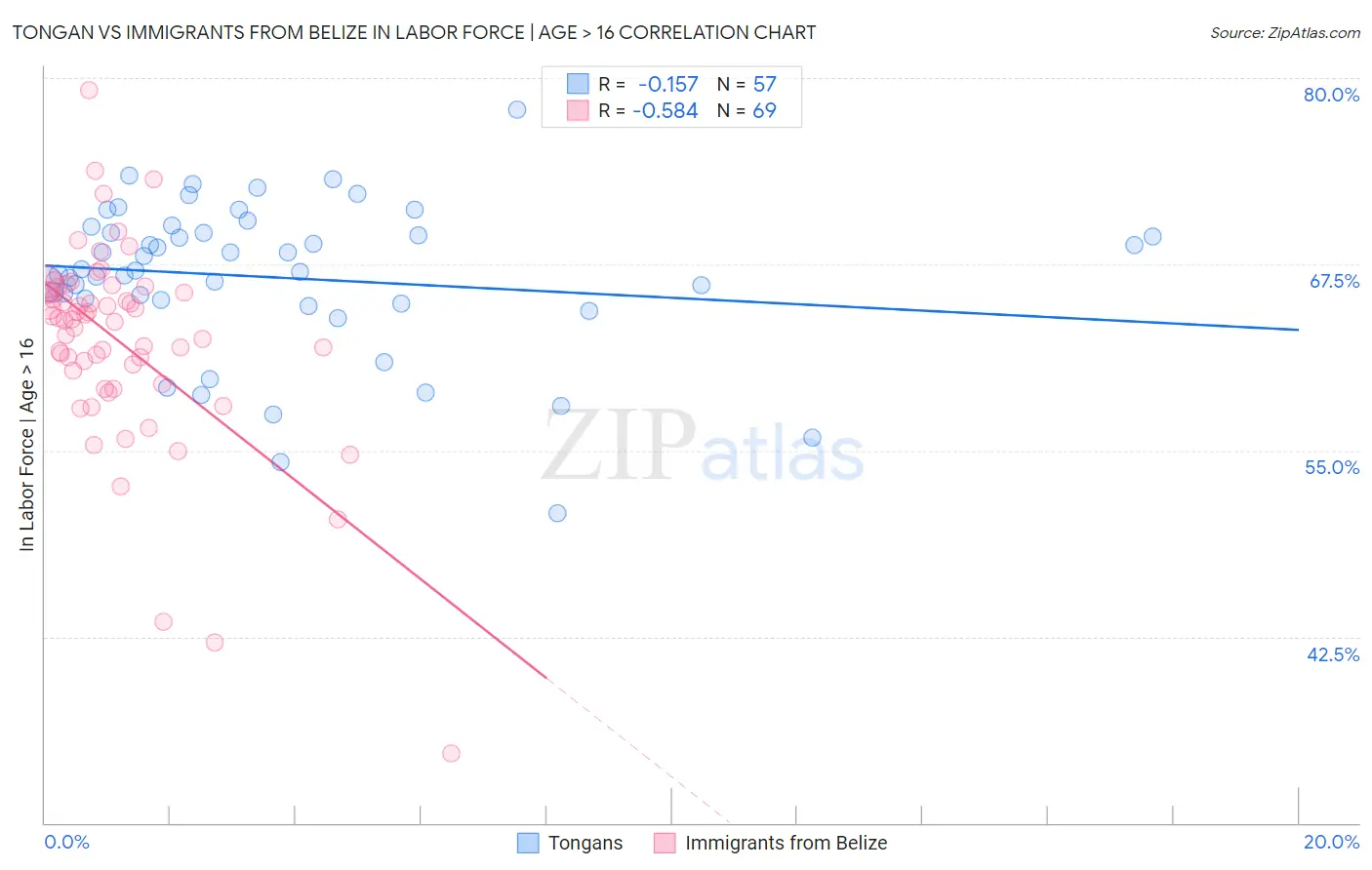 Tongan vs Immigrants from Belize In Labor Force | Age > 16