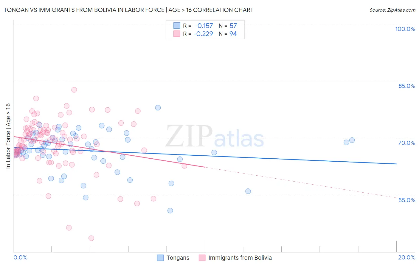 Tongan vs Immigrants from Bolivia In Labor Force | Age > 16