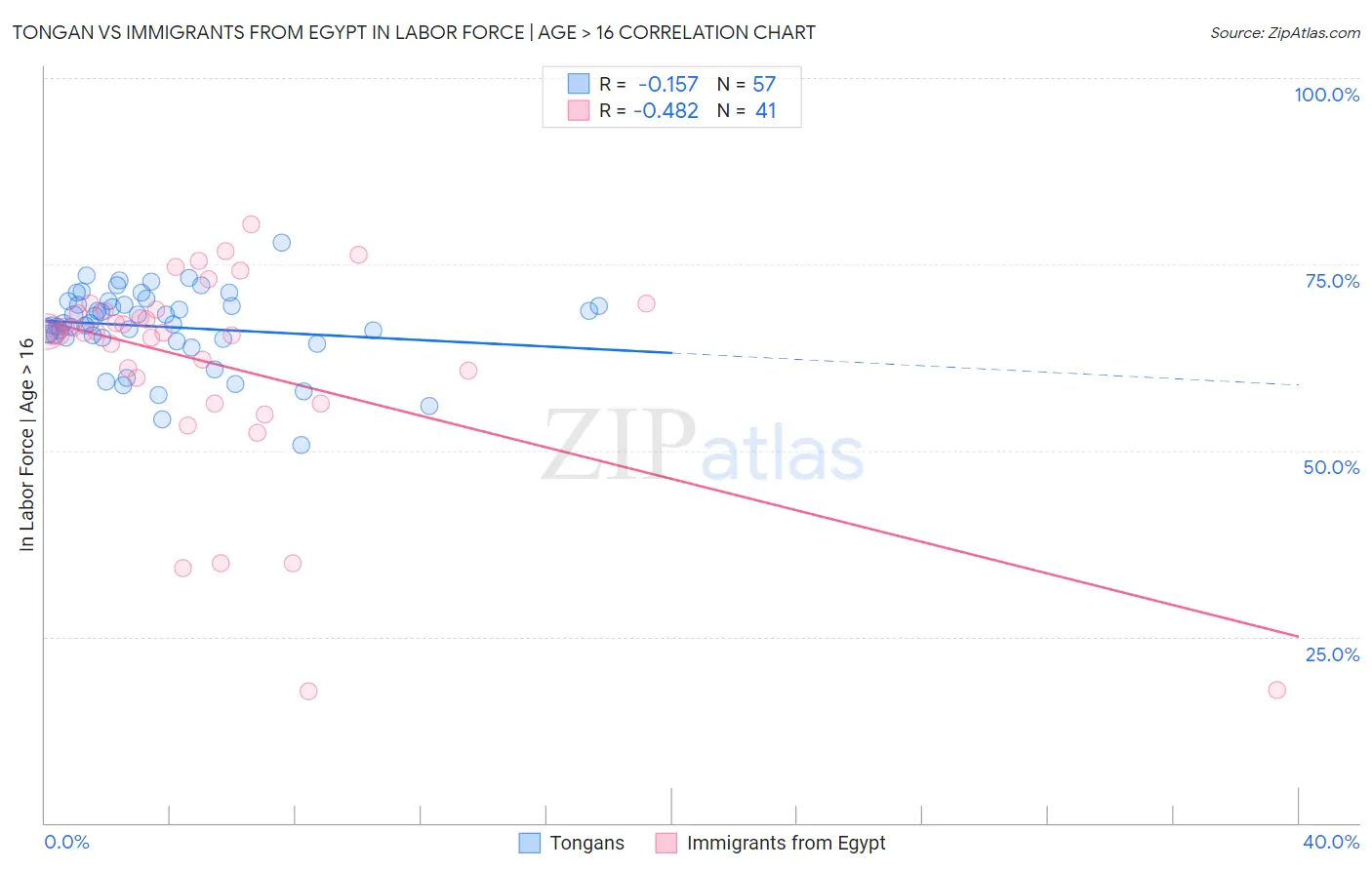Tongan vs Immigrants from Egypt In Labor Force | Age > 16