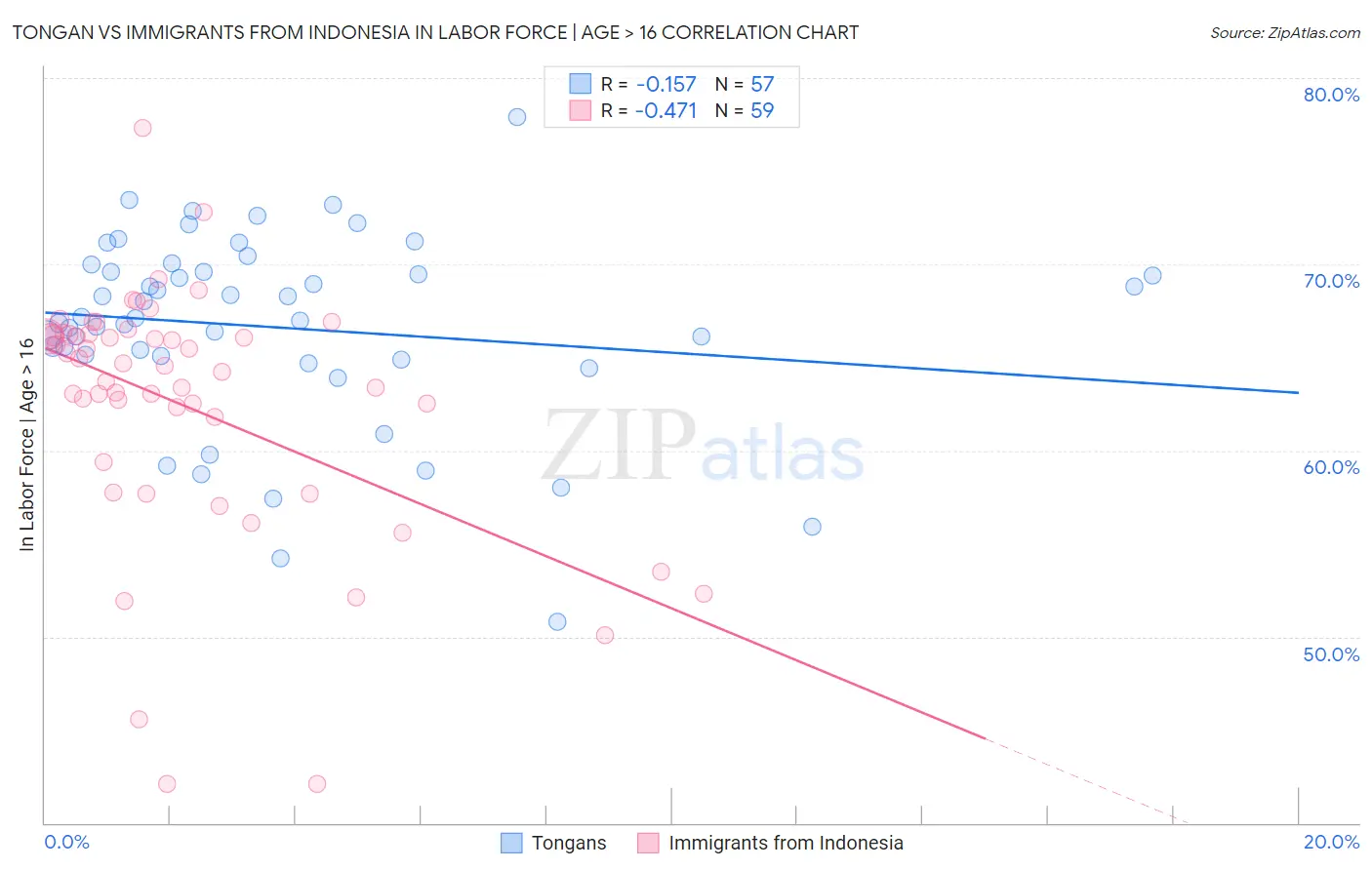 Tongan vs Immigrants from Indonesia In Labor Force | Age > 16