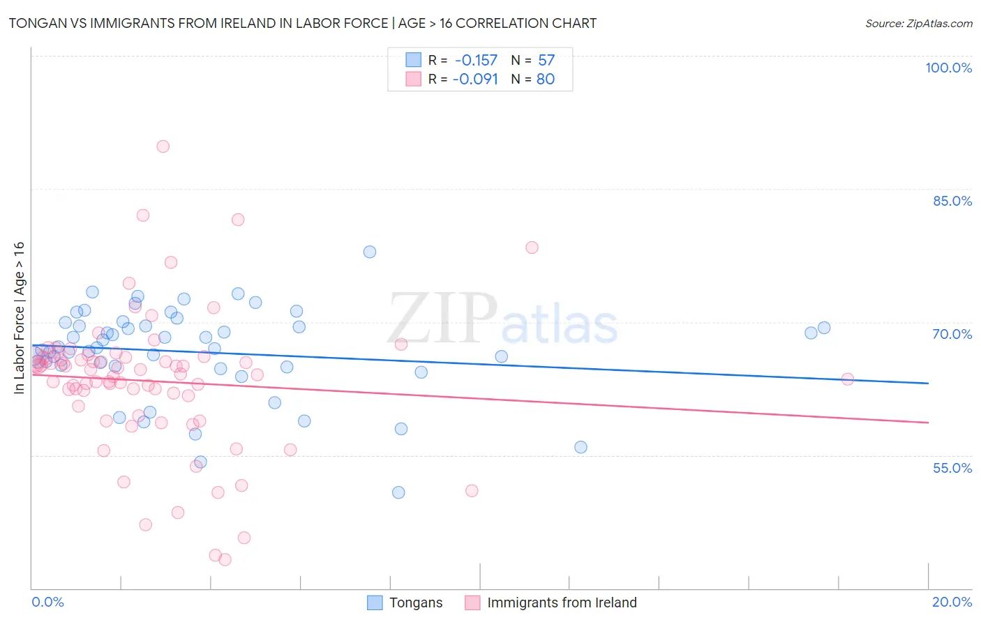 Tongan vs Immigrants from Ireland In Labor Force | Age > 16