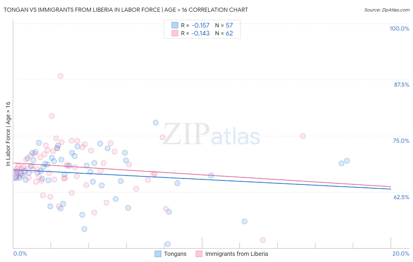 Tongan vs Immigrants from Liberia In Labor Force | Age > 16
