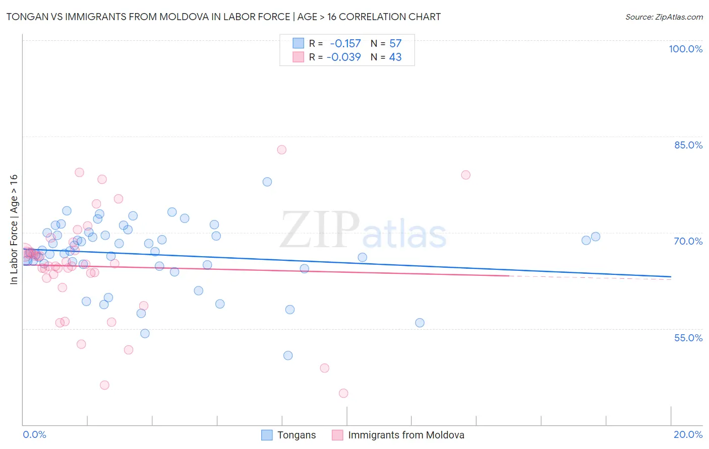 Tongan vs Immigrants from Moldova In Labor Force | Age > 16