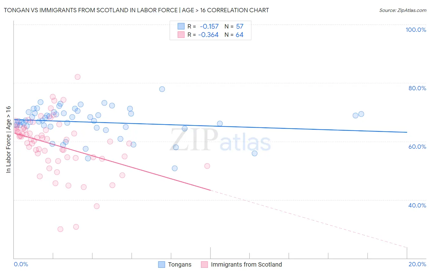 Tongan vs Immigrants from Scotland In Labor Force | Age > 16