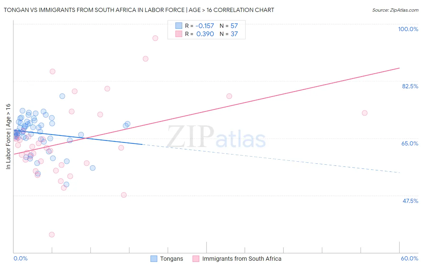 Tongan vs Immigrants from South Africa In Labor Force | Age > 16