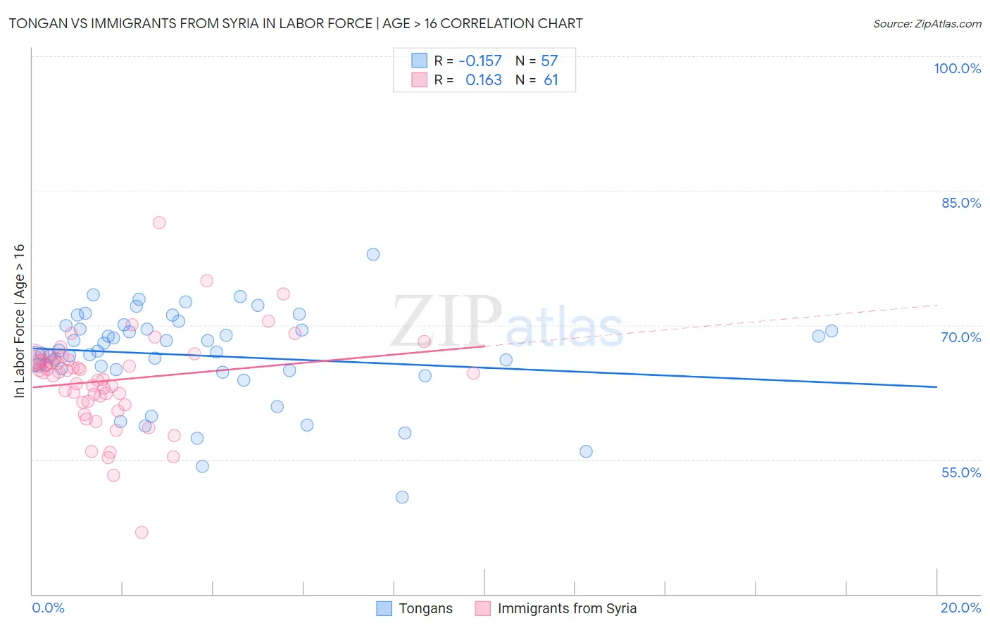 Tongan vs Immigrants from Syria In Labor Force | Age > 16