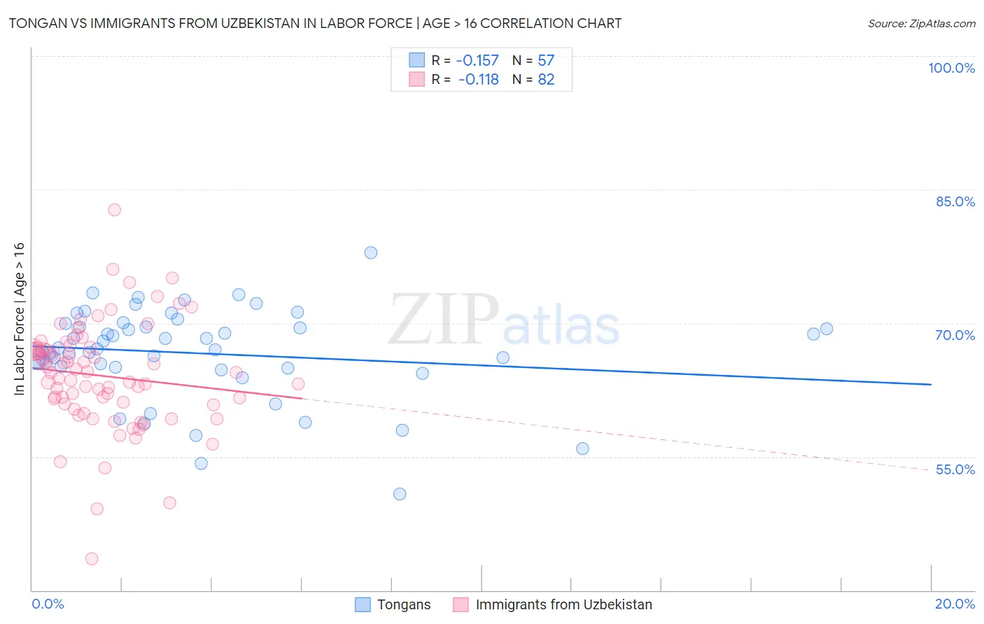 Tongan vs Immigrants from Uzbekistan In Labor Force | Age > 16