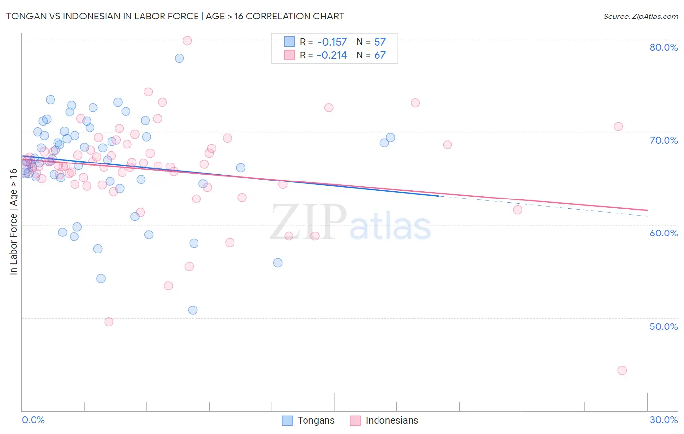 Tongan vs Indonesian In Labor Force | Age > 16