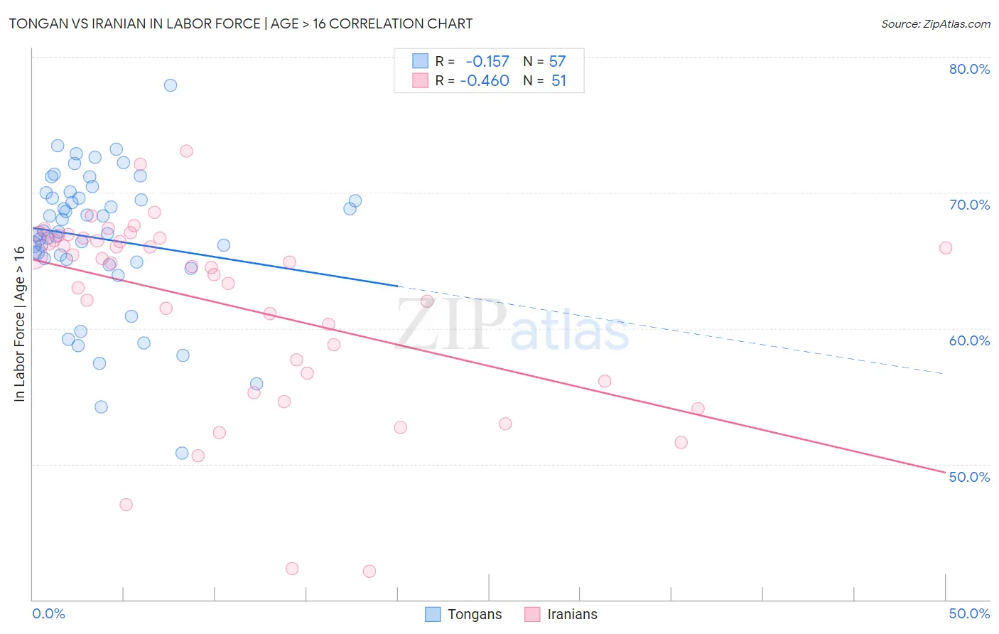 Tongan vs Iranian In Labor Force | Age > 16