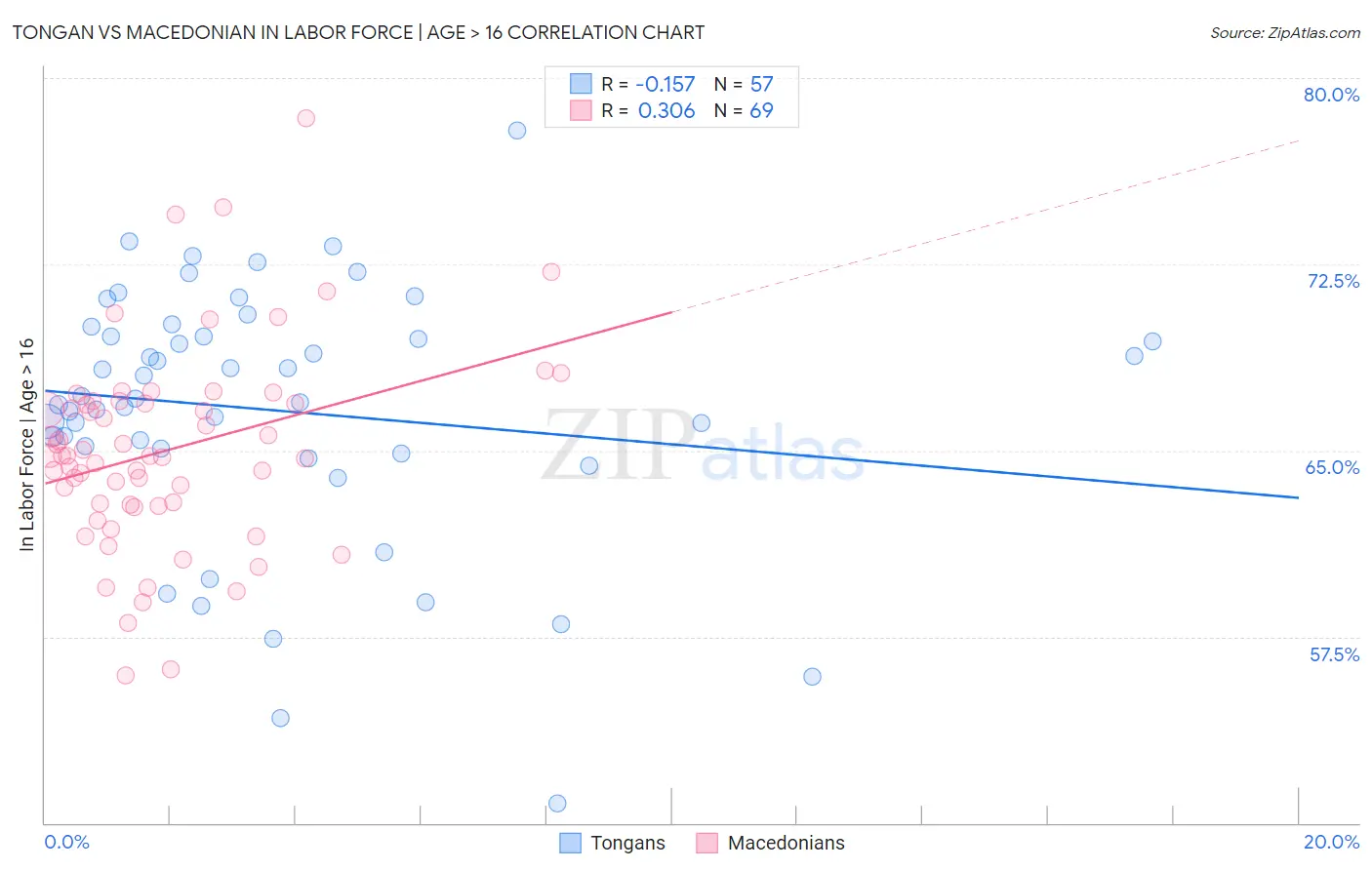 Tongan vs Macedonian In Labor Force | Age > 16