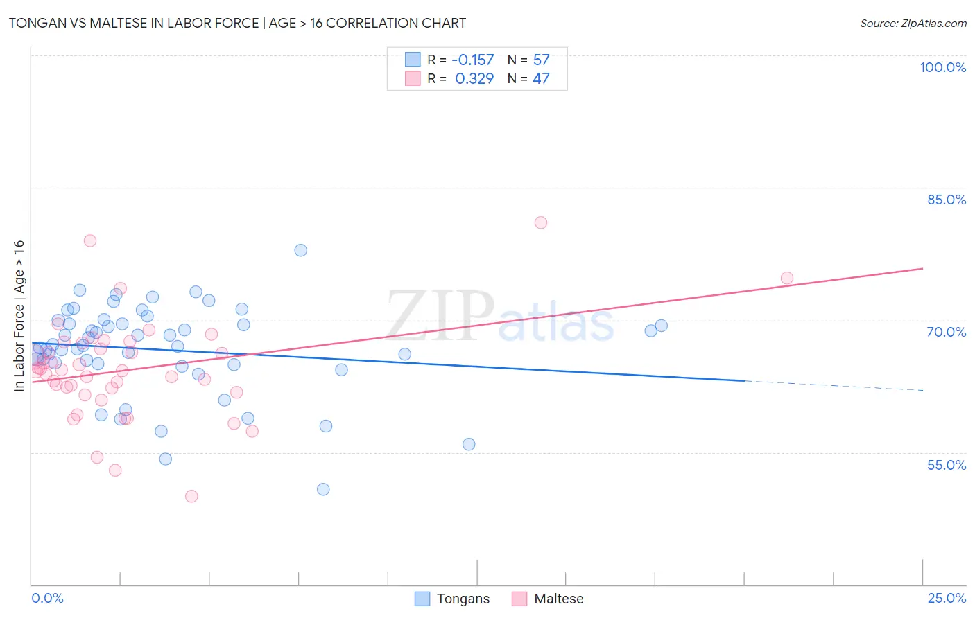 Tongan vs Maltese In Labor Force | Age > 16