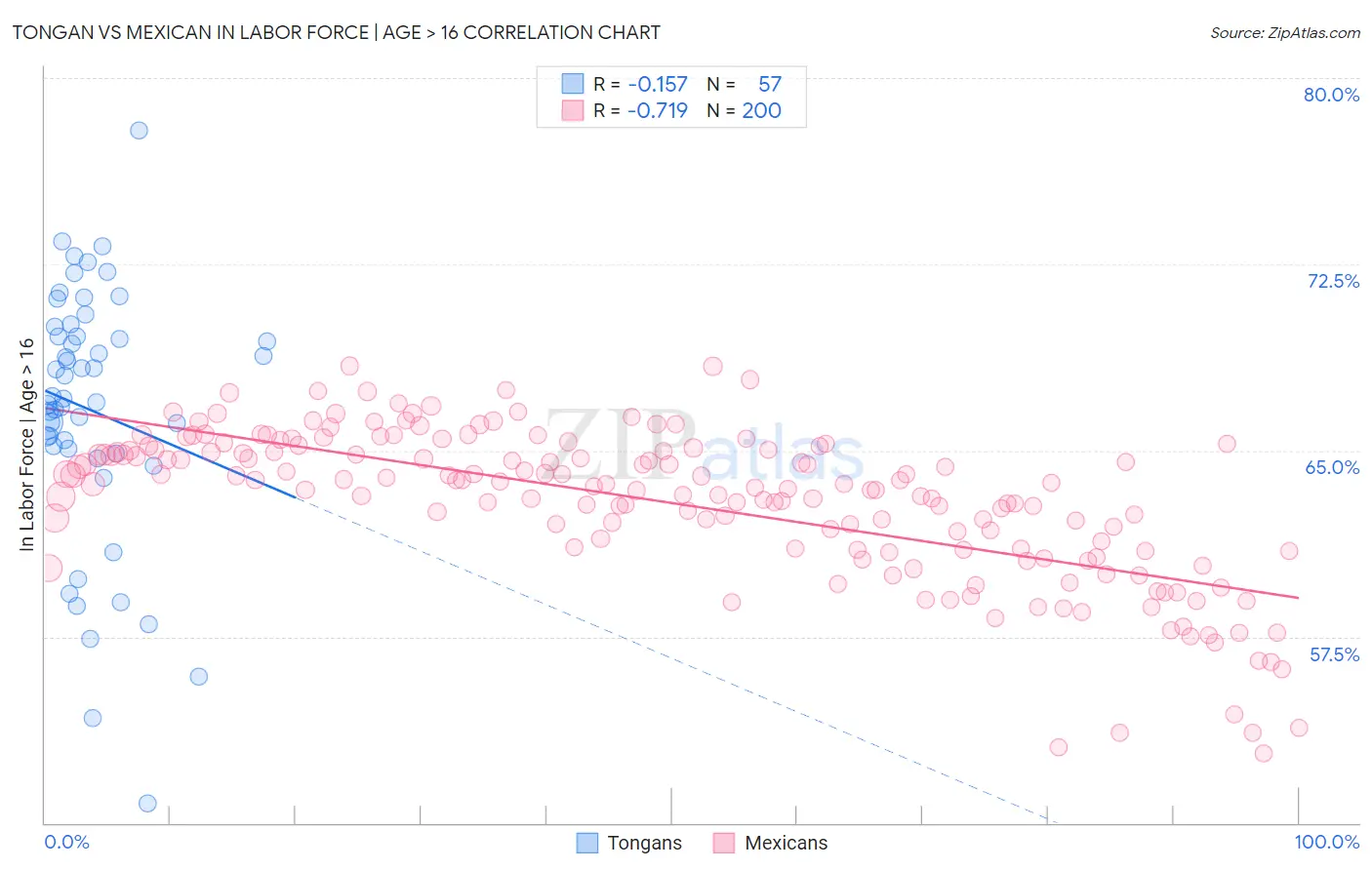 Tongan vs Mexican In Labor Force | Age > 16