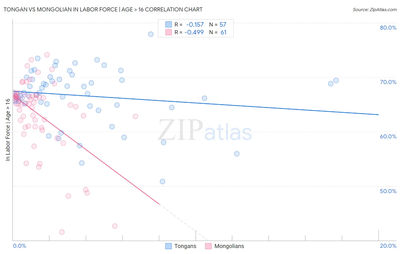 Tongan vs Mongolian In Labor Force | Age > 16