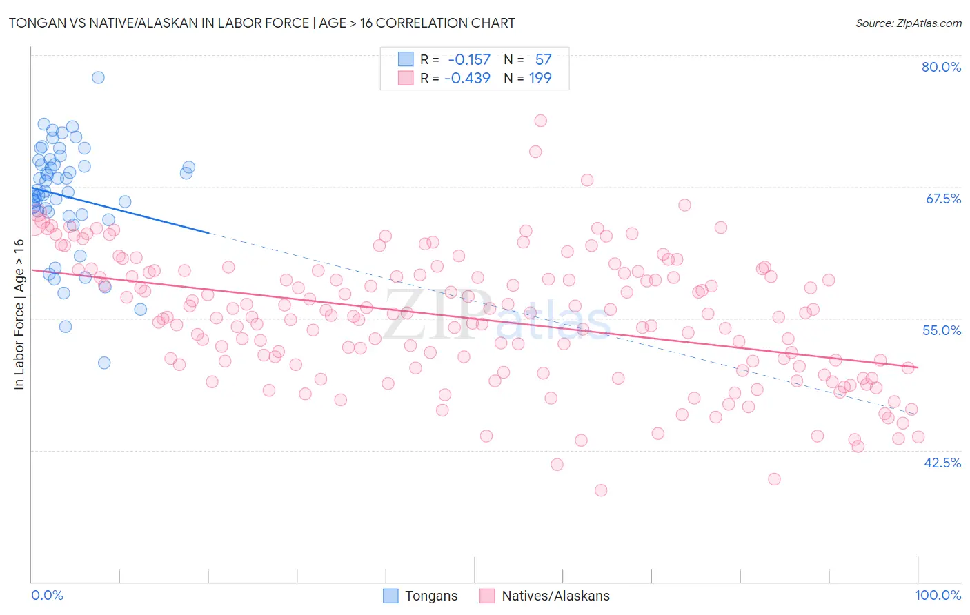 Tongan vs Native/Alaskan In Labor Force | Age > 16
