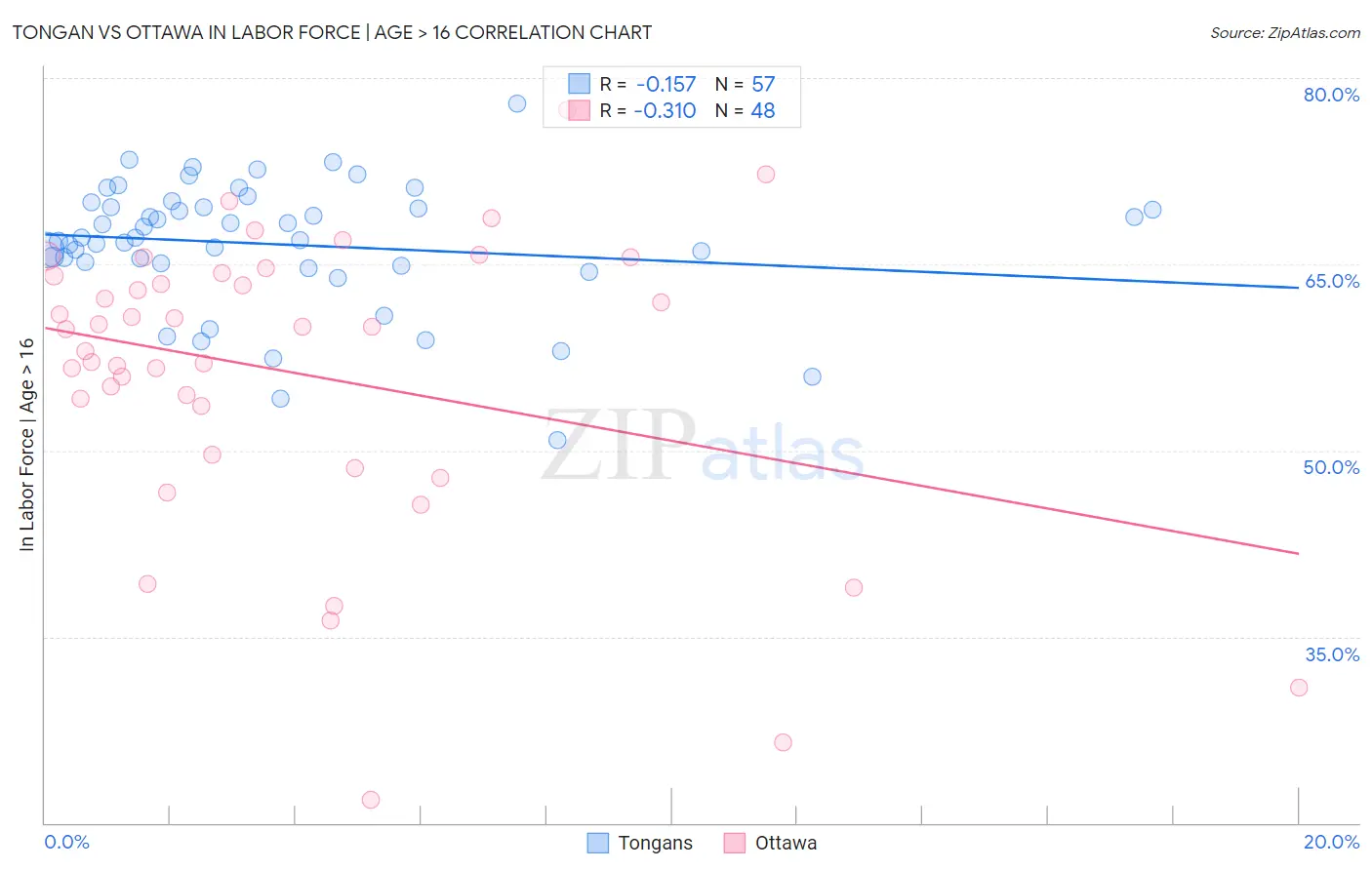 Tongan vs Ottawa In Labor Force | Age > 16