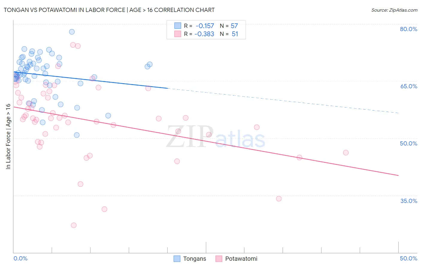 Tongan vs Potawatomi In Labor Force | Age > 16
