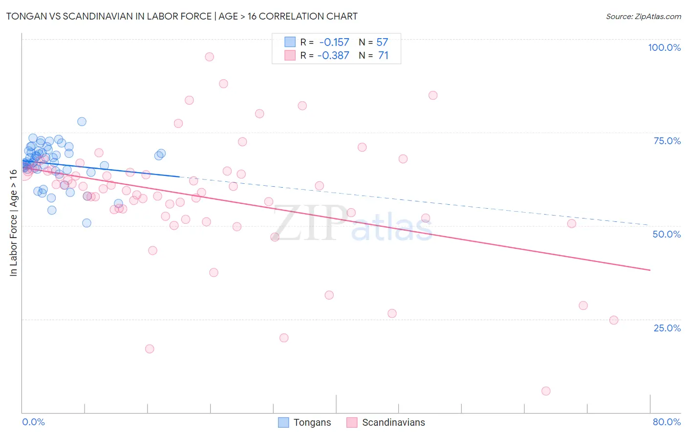 Tongan vs Scandinavian In Labor Force | Age > 16