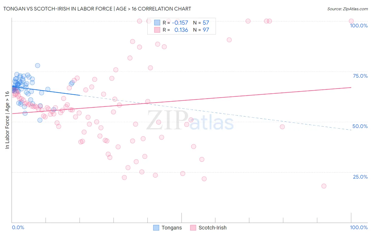 Tongan vs Scotch-Irish In Labor Force | Age > 16