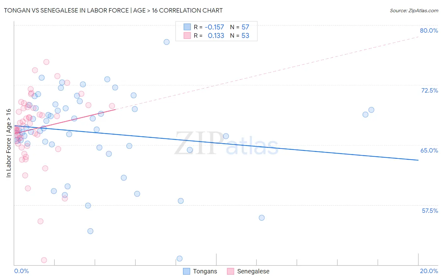 Tongan vs Senegalese In Labor Force | Age > 16