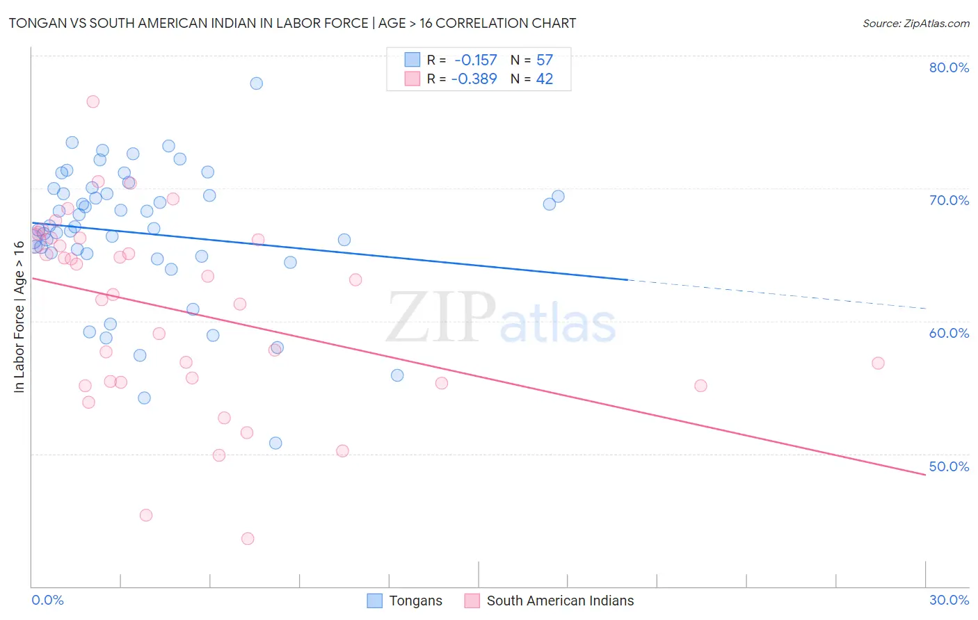 Tongan vs South American Indian In Labor Force | Age > 16