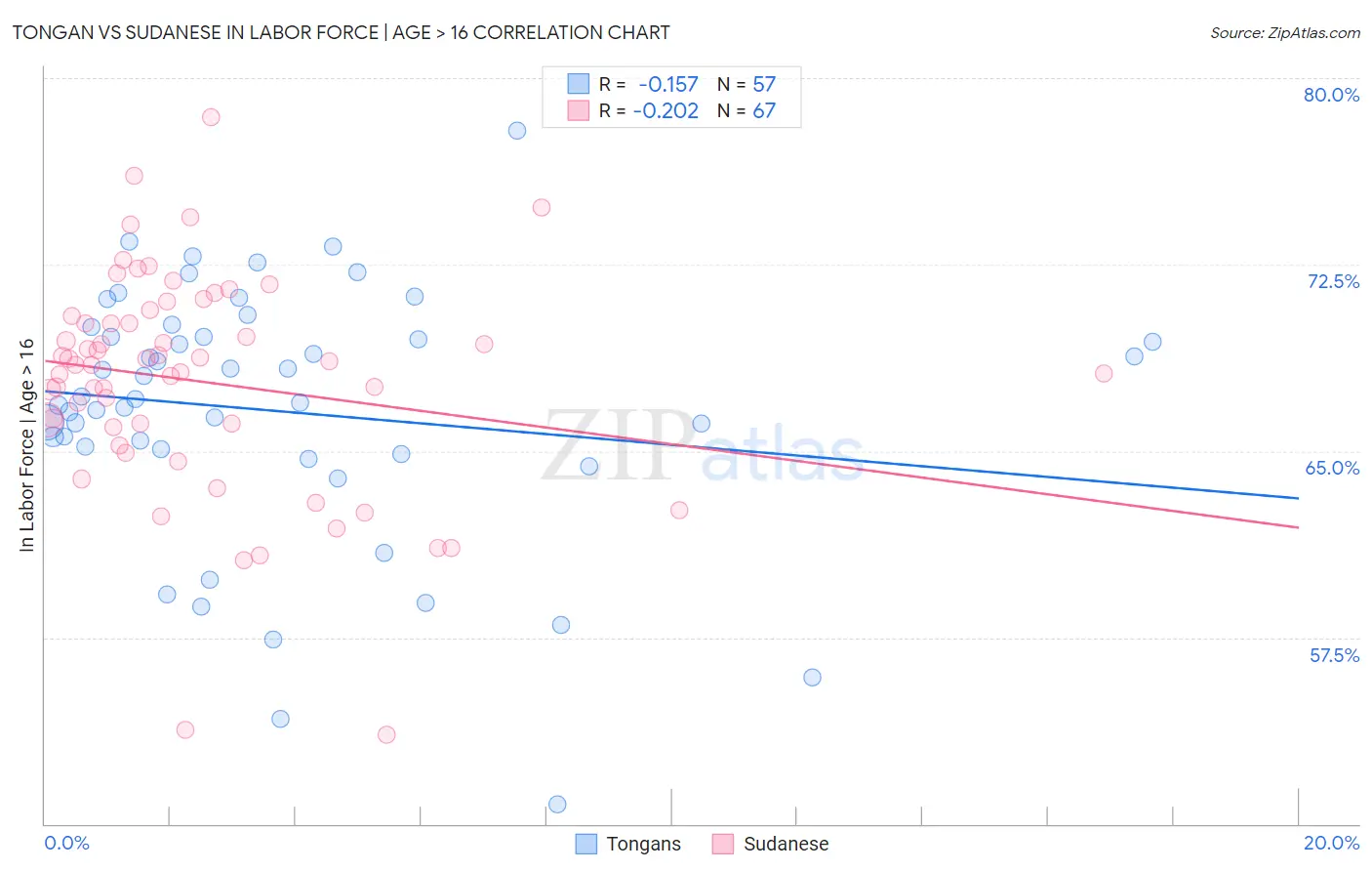 Tongan vs Sudanese In Labor Force | Age > 16