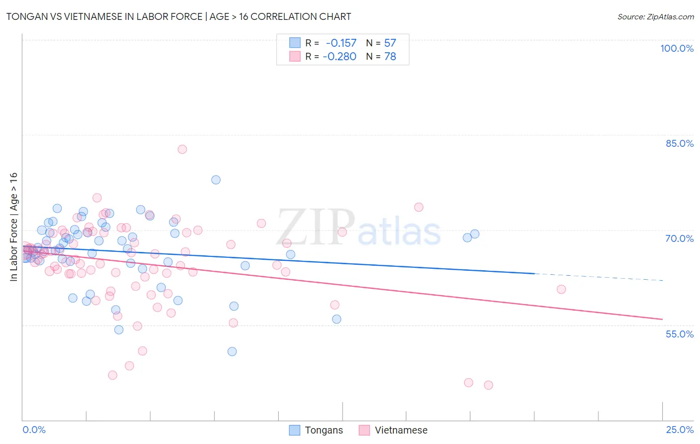 Tongan vs Vietnamese In Labor Force | Age > 16