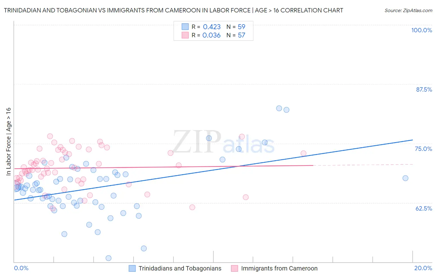 Trinidadian and Tobagonian vs Immigrants from Cameroon In Labor Force | Age > 16