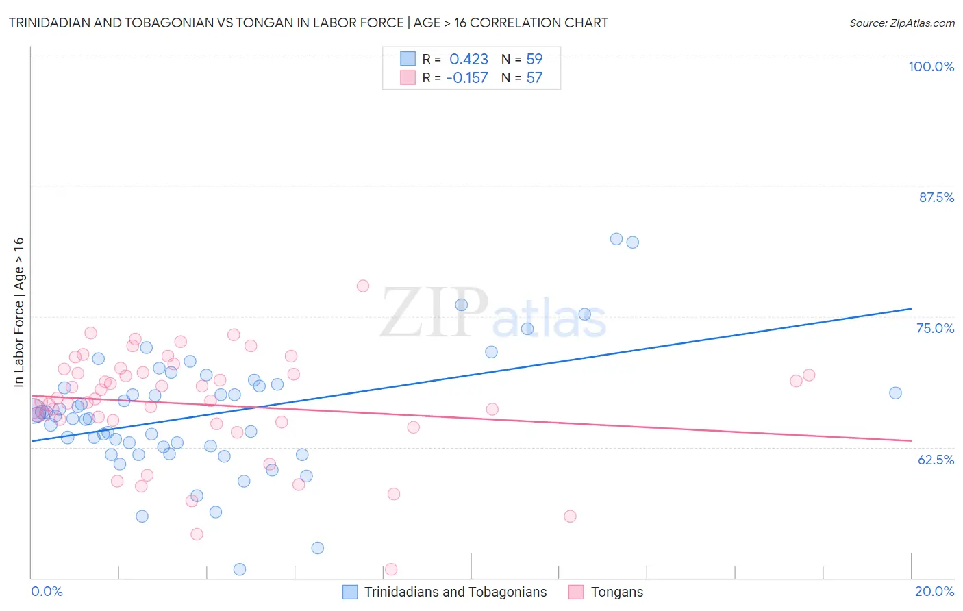 Trinidadian and Tobagonian vs Tongan In Labor Force | Age > 16