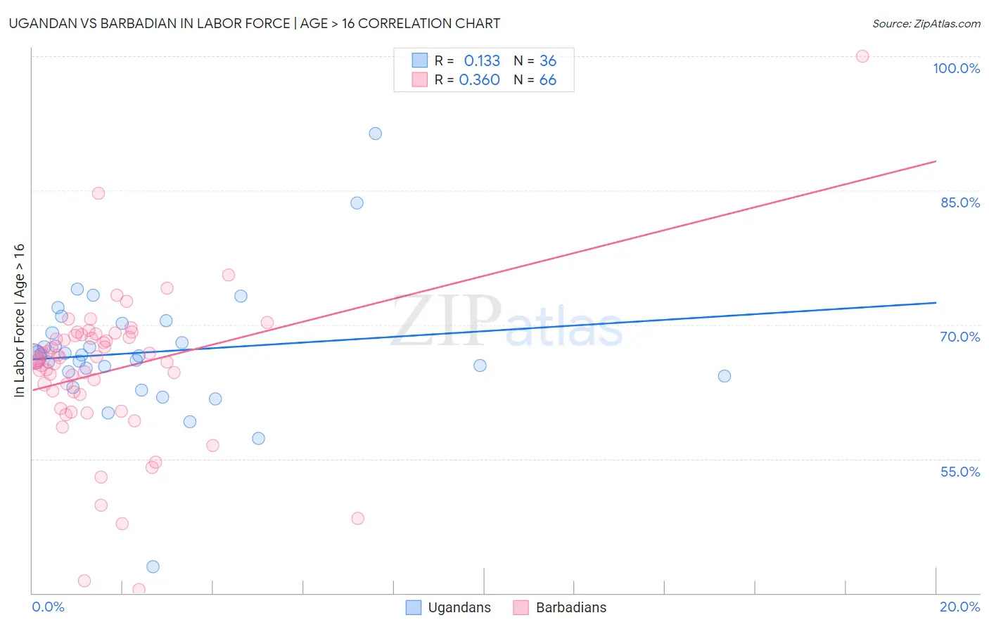 Ugandan vs Barbadian In Labor Force | Age > 16