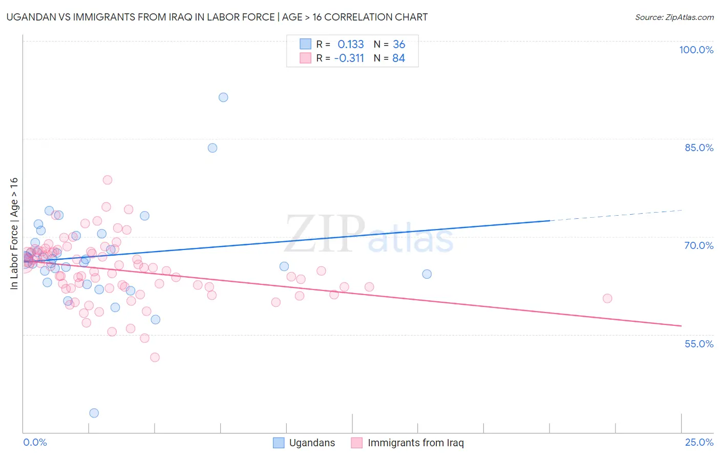 Ugandan vs Immigrants from Iraq In Labor Force | Age > 16
