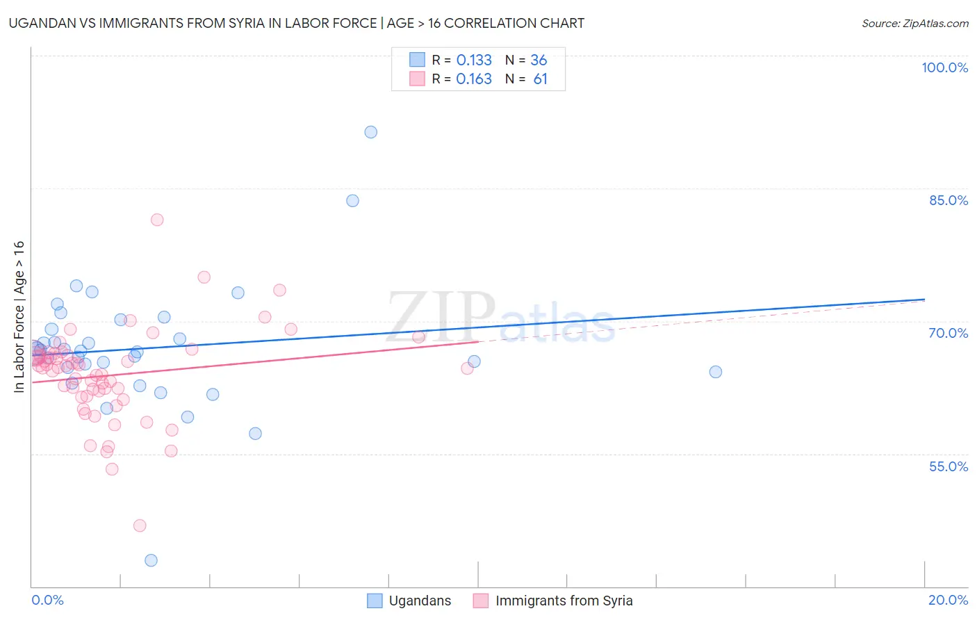 Ugandan vs Immigrants from Syria In Labor Force | Age > 16