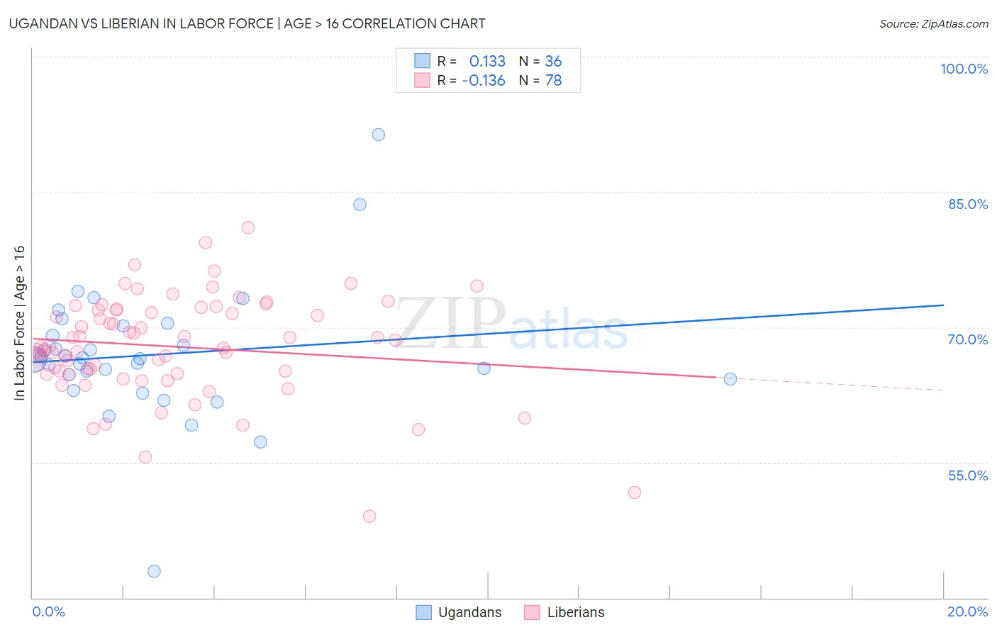 Ugandan vs Liberian In Labor Force | Age > 16