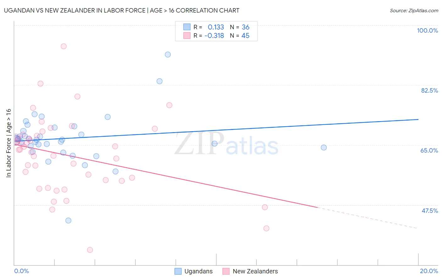 Ugandan vs New Zealander In Labor Force | Age > 16